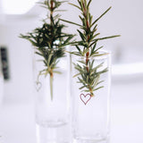 Schnaps- und Likörglas (4er Set)